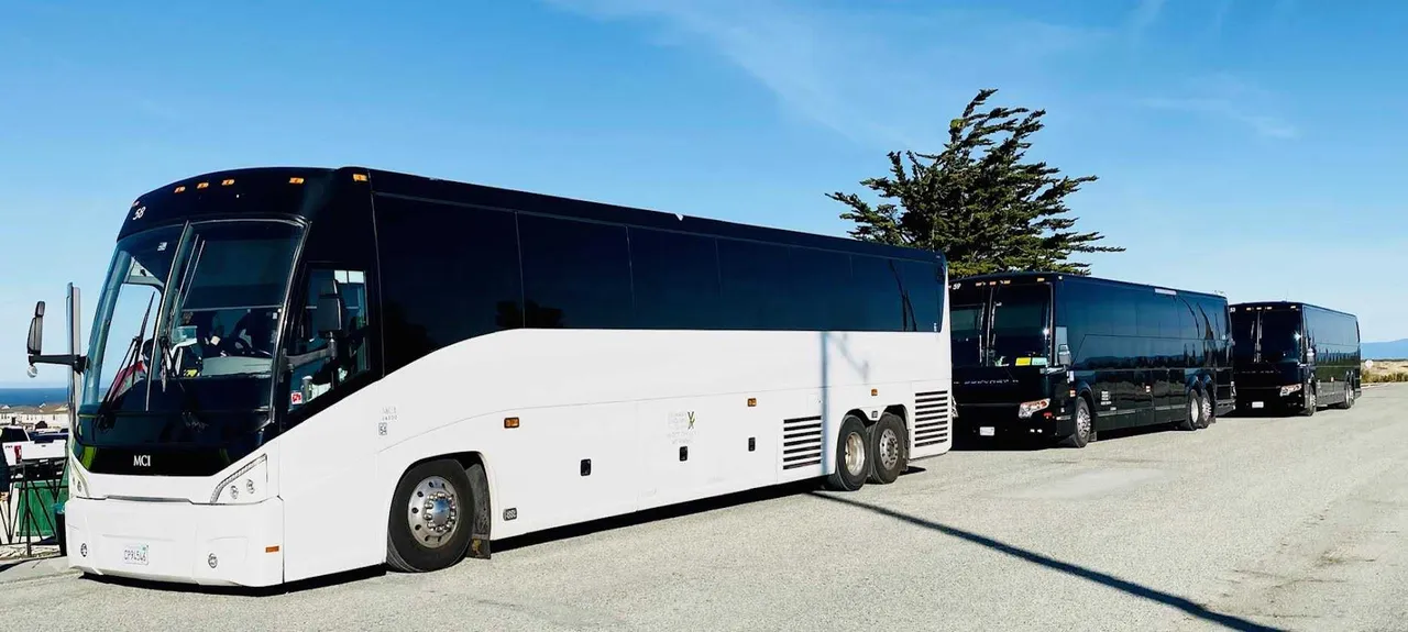 White MCI Motorcoach for charter bus rental White MCI Motorcoach for charter bus rental